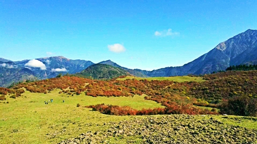 èƺɽʡ 1115èƺɽݵʡͽ֮