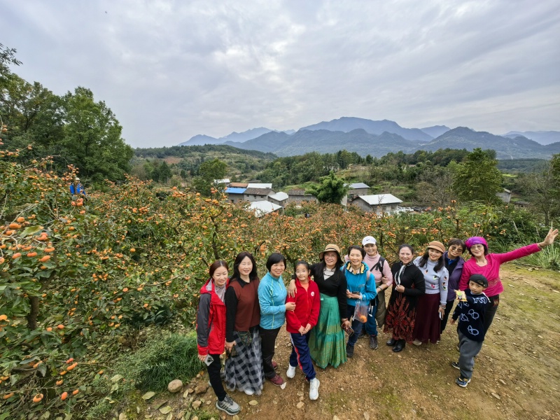 Ҥ������1