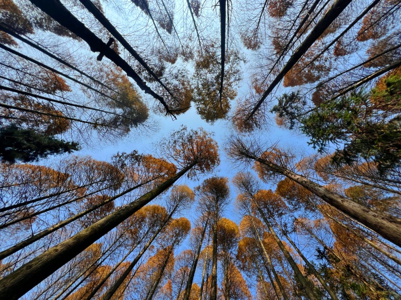 ������ɽ�������¡�����ɽ�� 12��06�մ�Խ����ɽ�������¡�����ɽ���ؾ����֡���ͽ����֮��