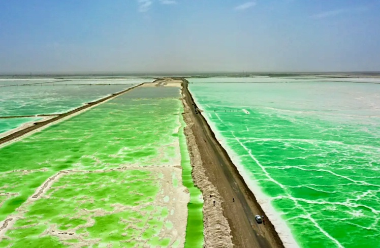 ����ʻ��ߡ��ػ�Ī�߿ߡ��߲ʵ�ϼ���������|��26��5��22-31�ջ���10����